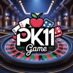 PK11 Game